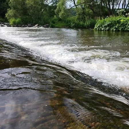 Auf Dem Hof Einer Historischen Muehle *