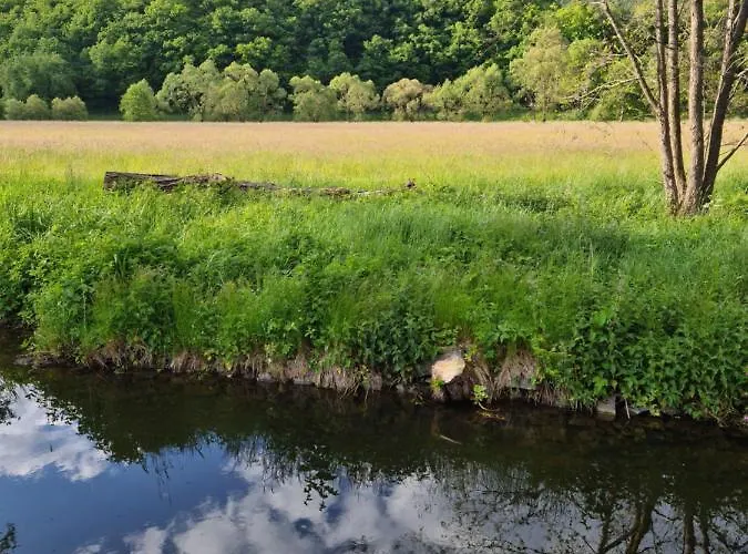 Auf Dem Hof Einer Historischen Mühle *